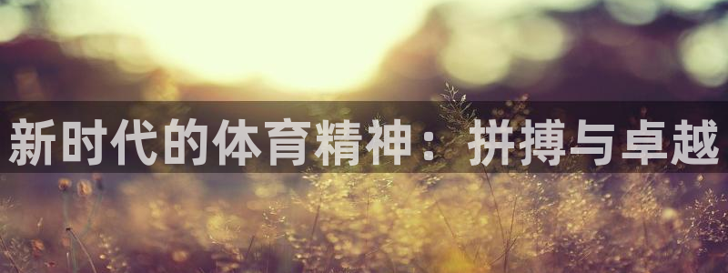 哈哈体育