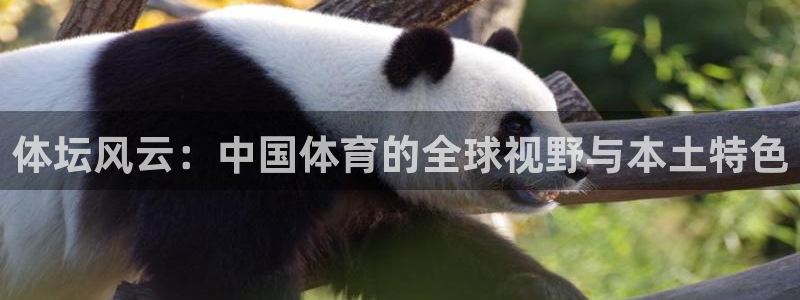 哈哈体育十年