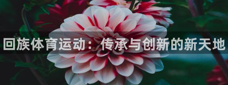 哈哈体育下载