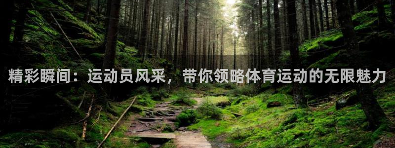 哈哈体育下载