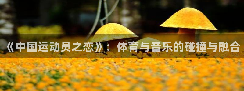 哈哈体育下载