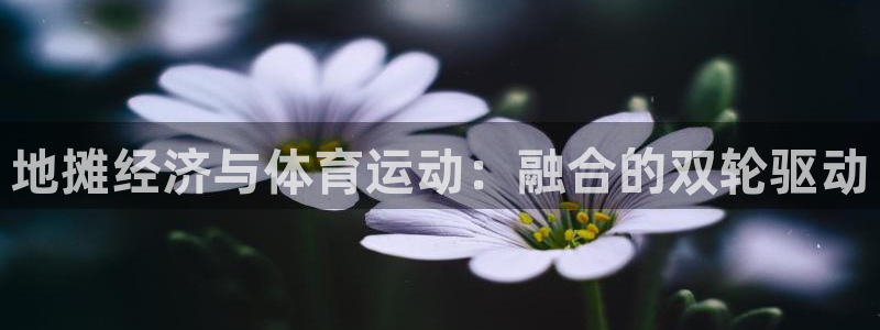 哈哈体育十年