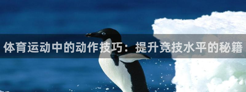 哈哈体育