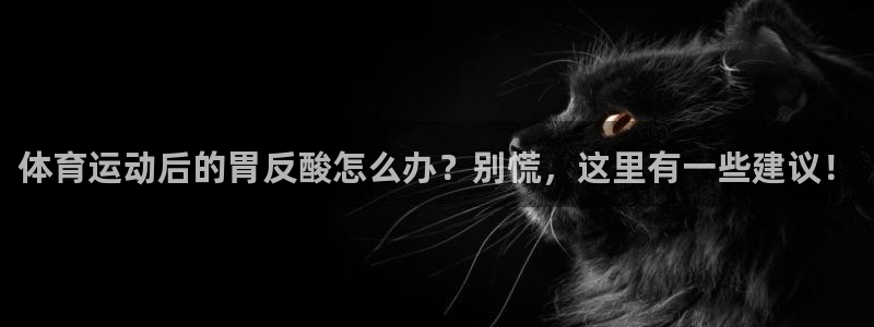 哈哈体育十年