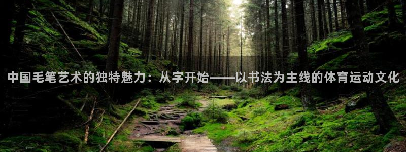 哈哈体育下载