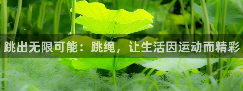 哈哈体育十年
