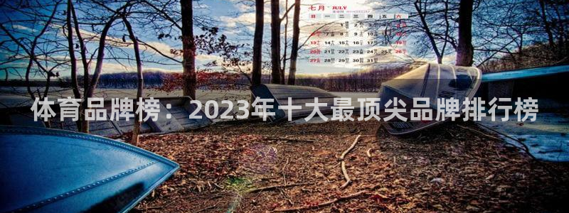 哈哈体育十年