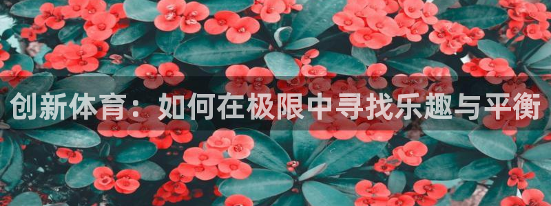 哈哈体育下载