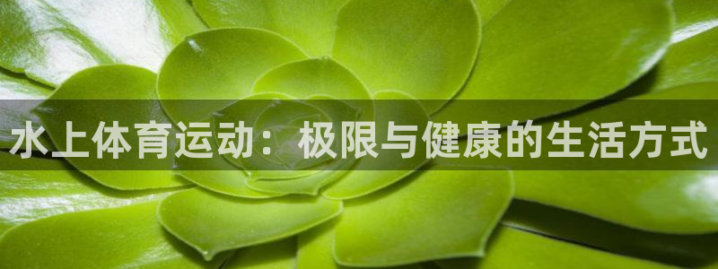 哈哈体育十年