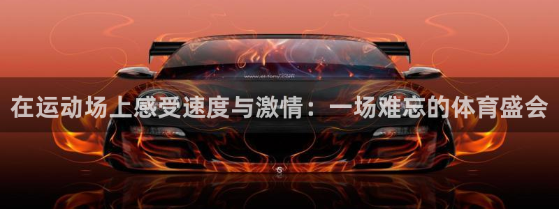 哈哈体育十年