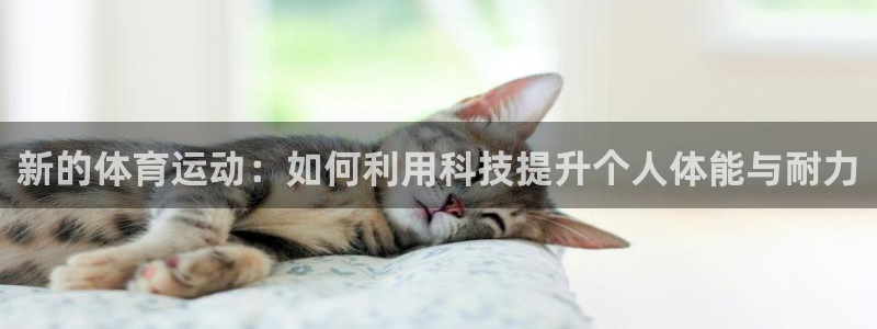哈哈体育