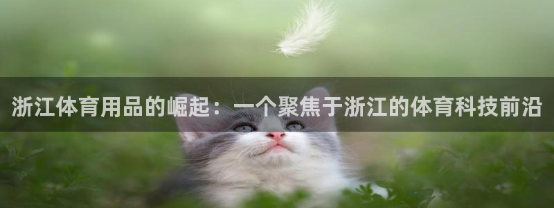 哈哈体育
