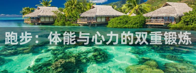 哈哈体育