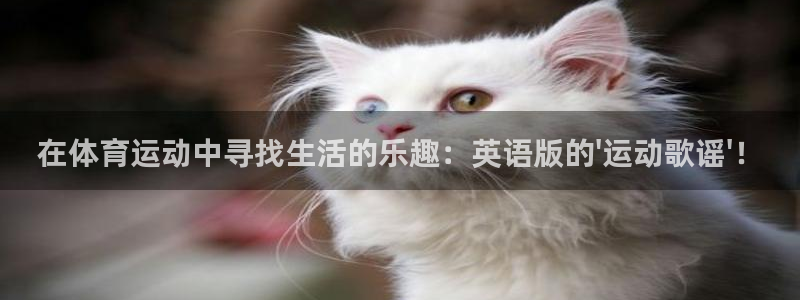 哈哈体育