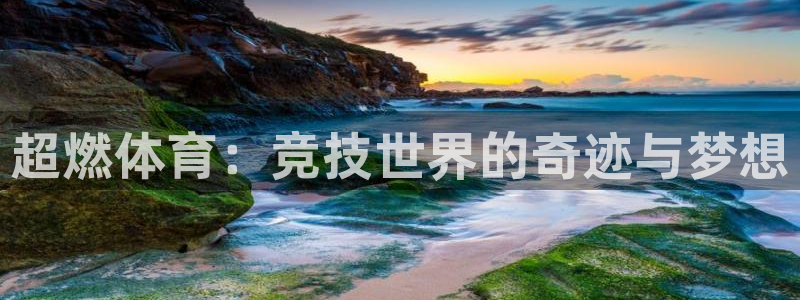 哈哈体育下载